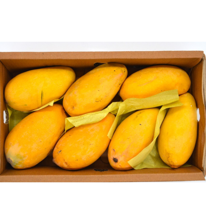 Honey Mangoes 2 kgs net mango weight 