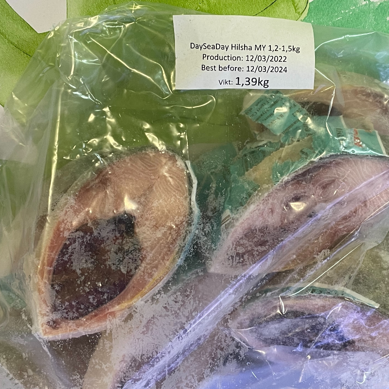 HILSHA FISH BD 1,2 -1,4 kgs