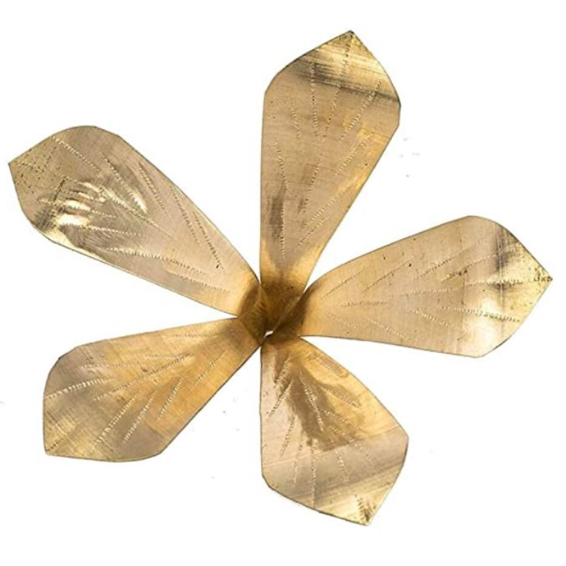 Aamer pallav for Ghot