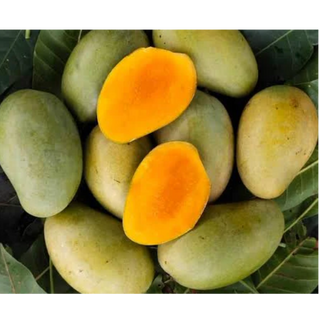 Amrapali Mango A+ Garde Premium 2,8 kg box , IN 