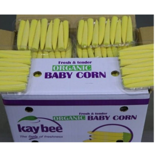 Sweet Baby corn 100gm pack