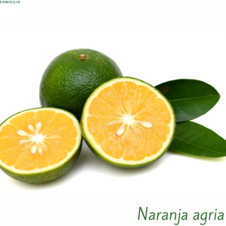 Naranja Agria U.