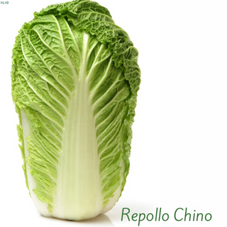 Repollo Chino U.