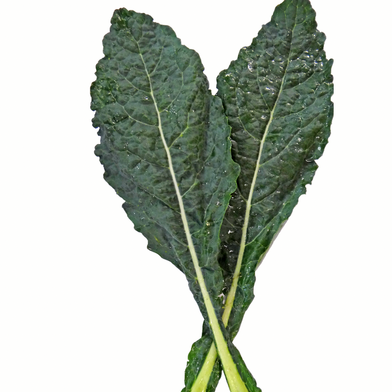 Kale Lb. Main Image