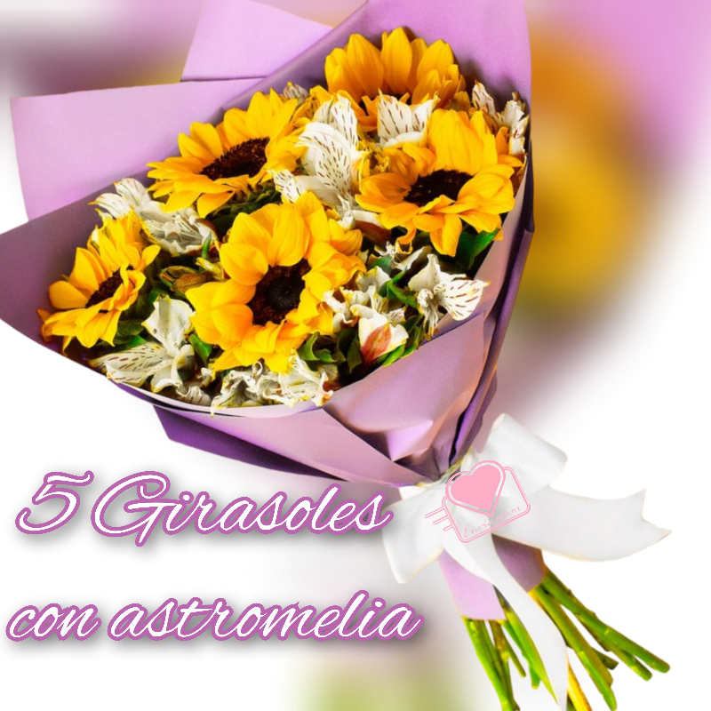 Ramo 5 Girasoles con Astromelia  Main Image