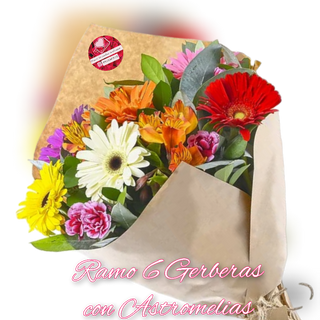 Ramo 6 Gerberas y Astromelias 