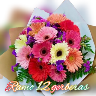 Ramo 12 gerberas 