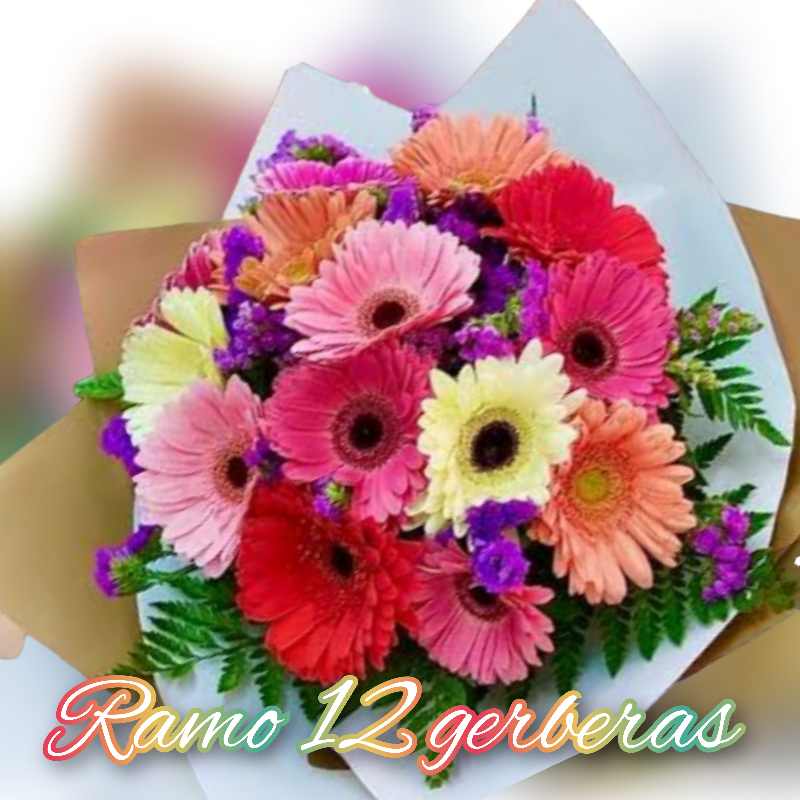 Ramo 12 gerberas 