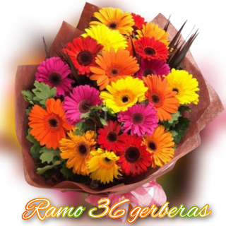 Ramo 36 gerberas 