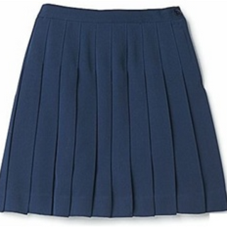 Girls Navy Blue Pleated Skirt