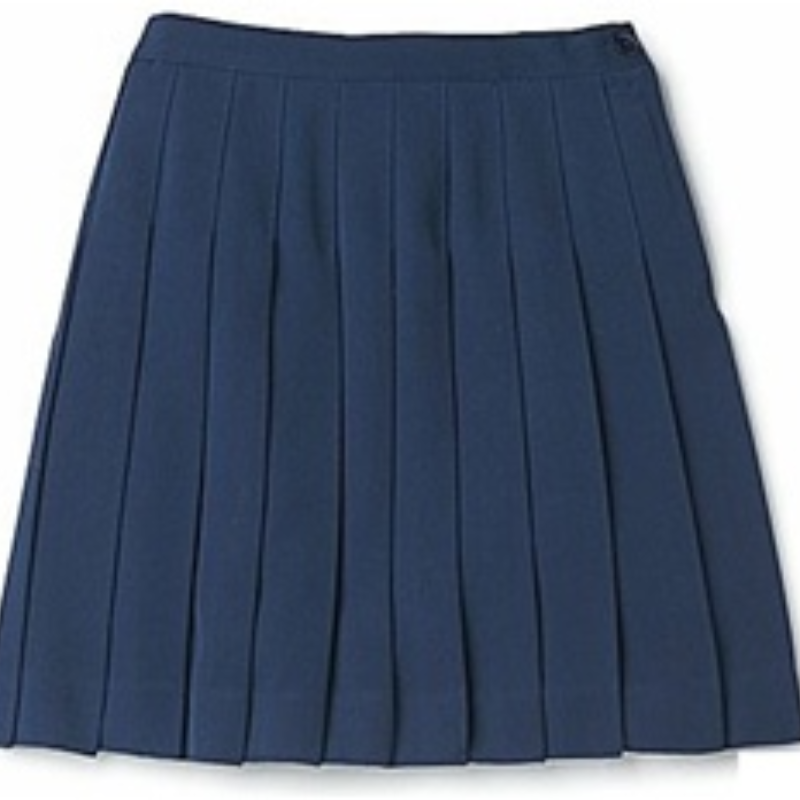 Girls Navy Blue Pleated Skirt Main Image