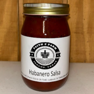 Habanero Salsa Image