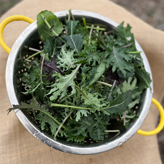 Kale Mix - (8oz bag) 