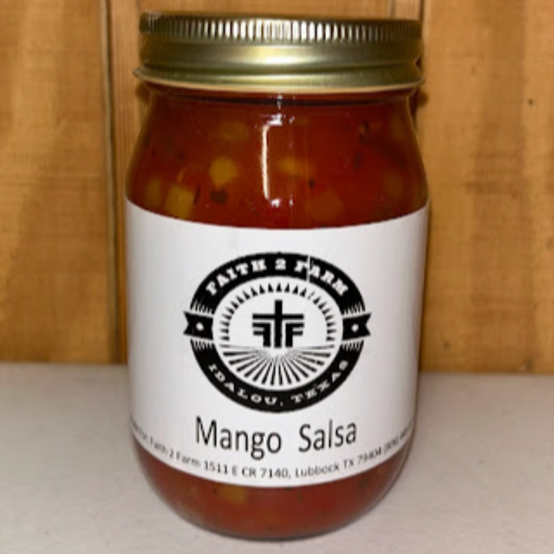 Mango Salsa Large Image
