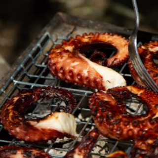OCTOPUS CHOMA