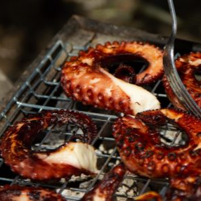 OCTOPUS CHOMA
