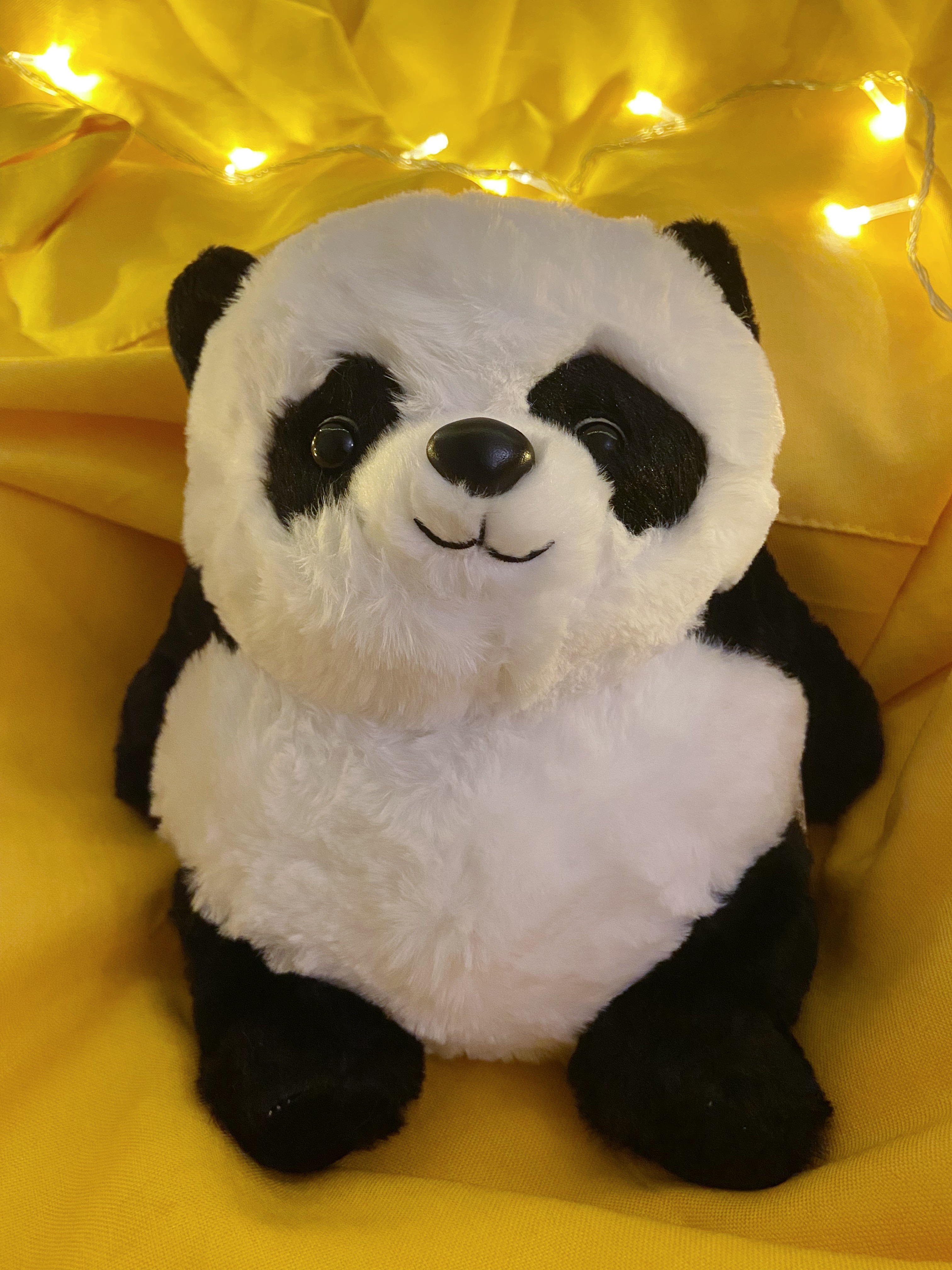 Panda Main Image