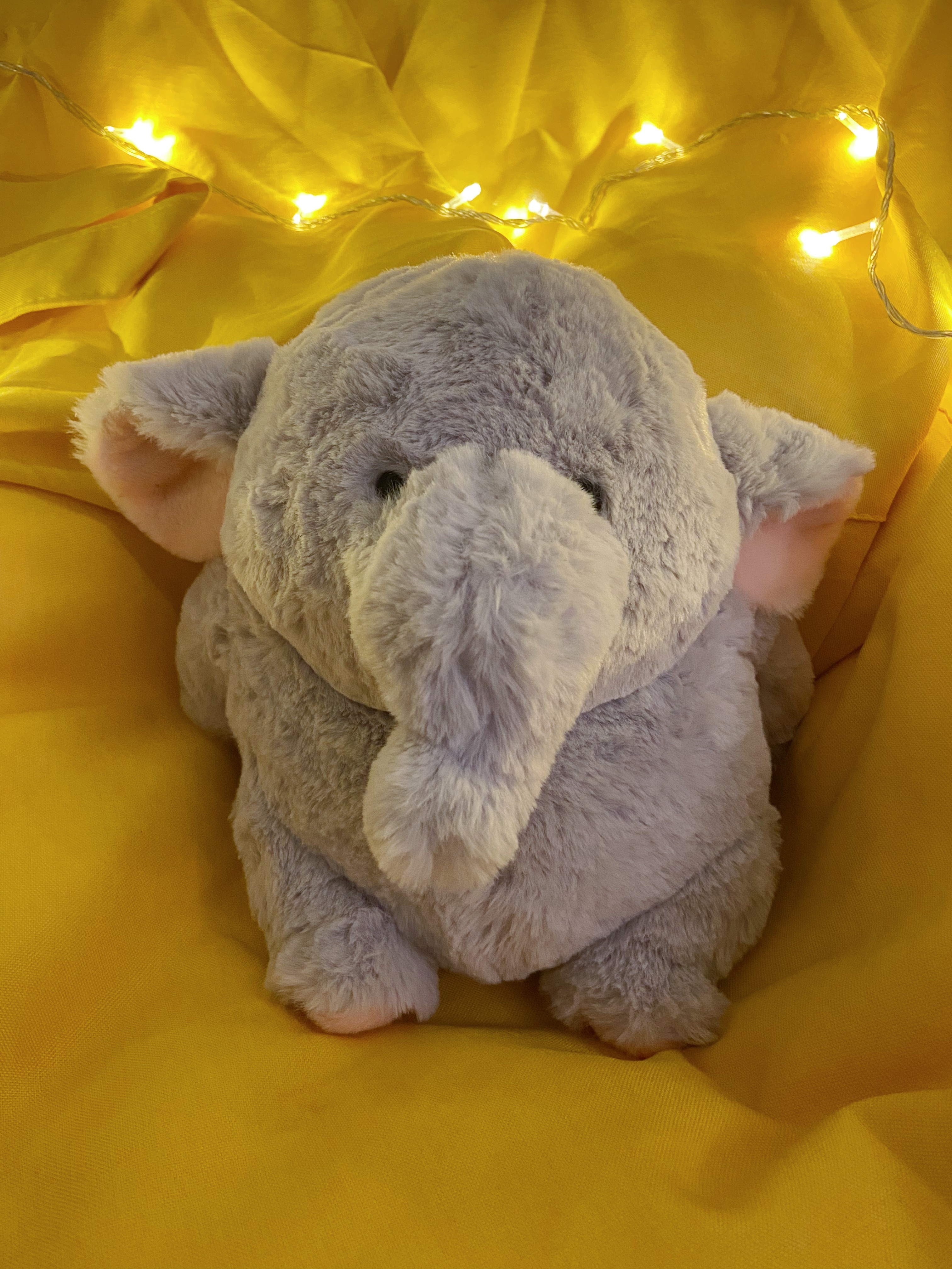 Dumbo Main Image