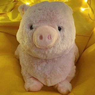 Piggu