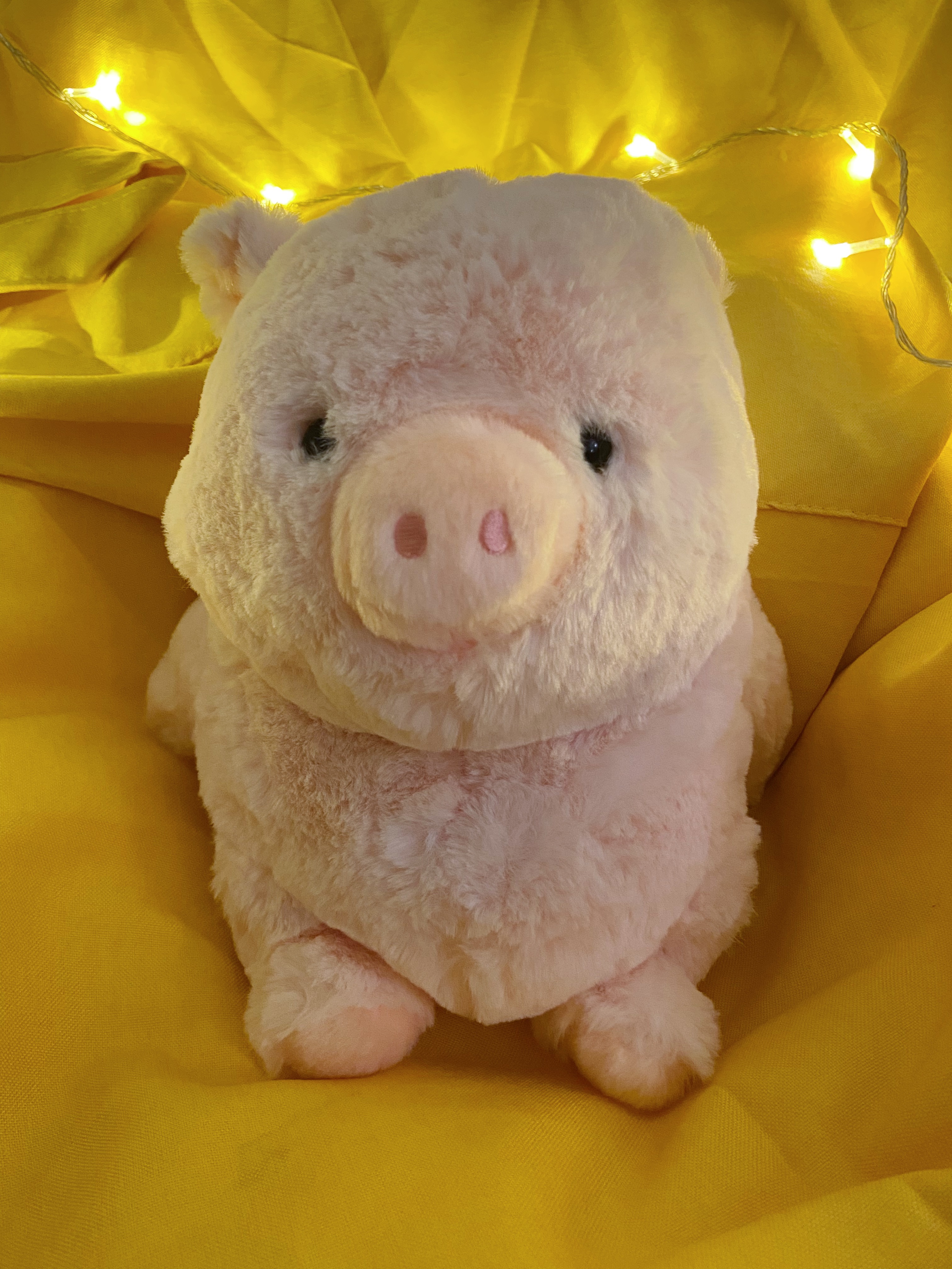 Piggu Main Image