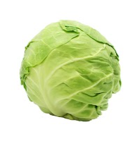 Green Cabbage