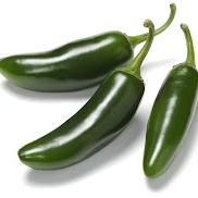 Jalapeno pepper