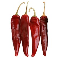 Guajillo pepper