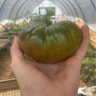 Cherokee Purple Tomatoes (1 lb)