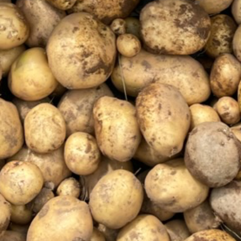 Potatoes (one quart) Main Image