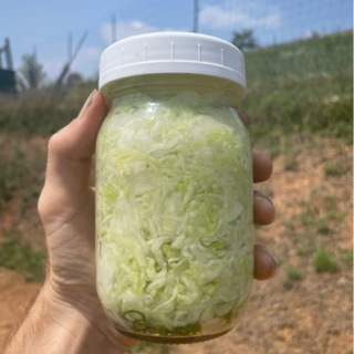 Spring Sauerkraut (pint)