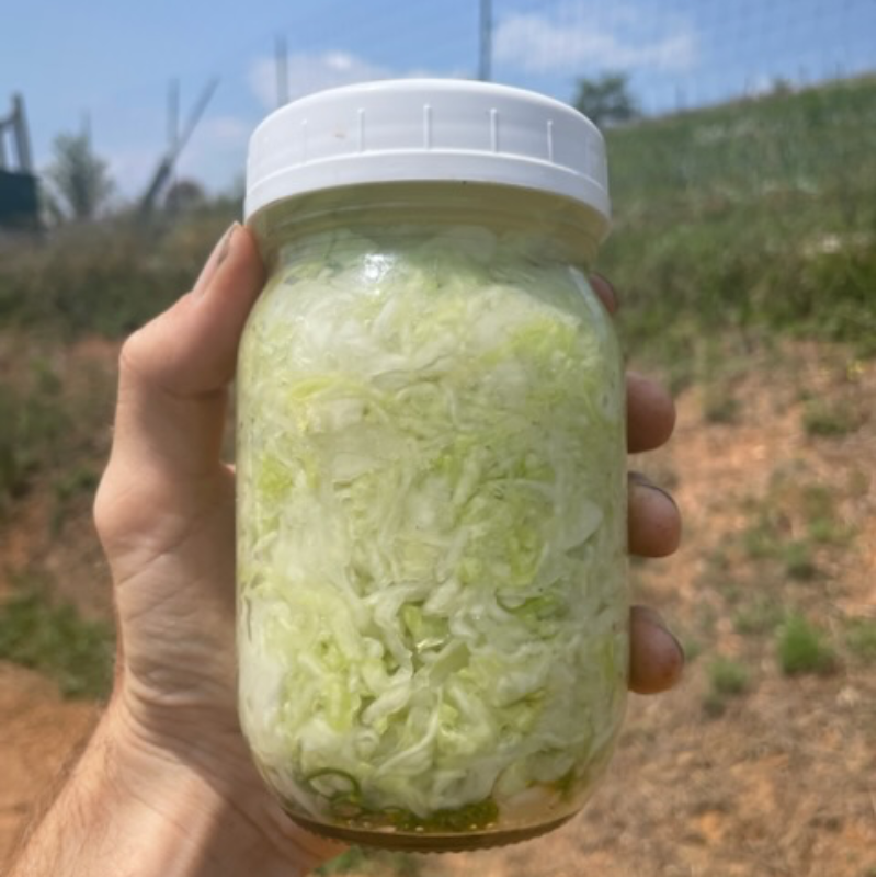 Spring Sauerkraut (pint) Main Image