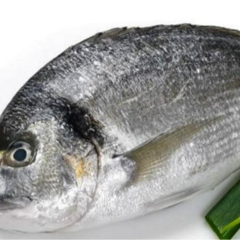 Large Sea Bream 6 Kg Box 