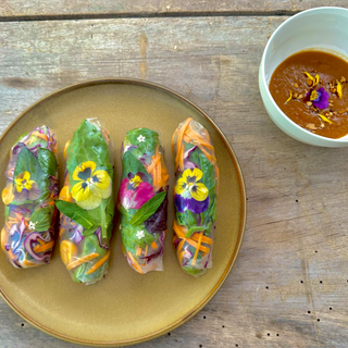 Vegan Spring Rolls w/Peanut Sauce