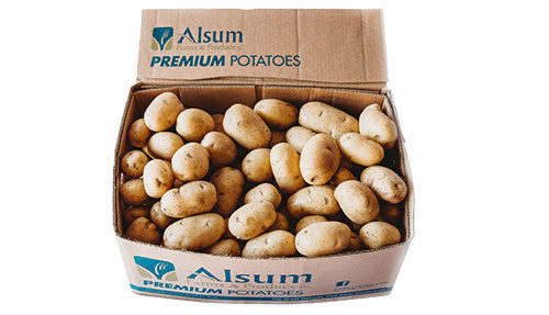 Russet Potato 100 Count - 50 pound box Main Image