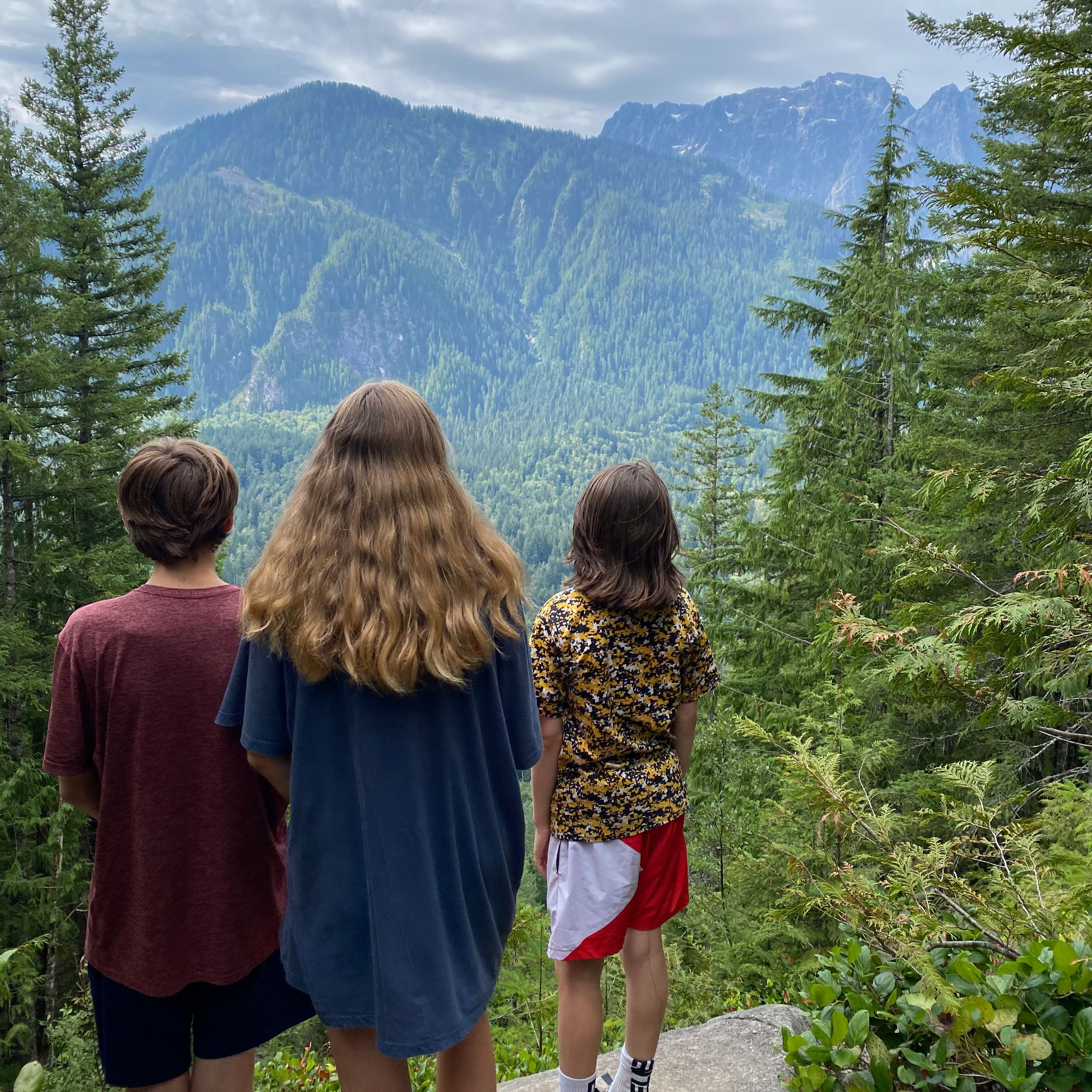 Heybrook Lookout Tower Hike