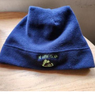 GE Beanie