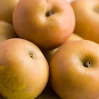 Maçã Reineta NOVA / apple