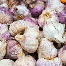 Alho Seco / Dry garlic