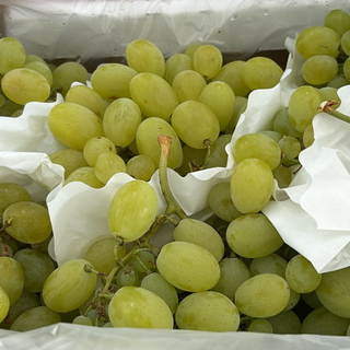 Uva Branca Com Grainha / Grape with seed 