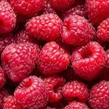 Framboesas / Raspberries