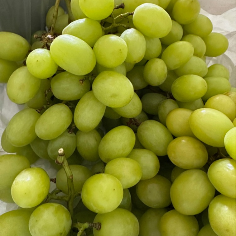Uva sem Grainha / seedless grape