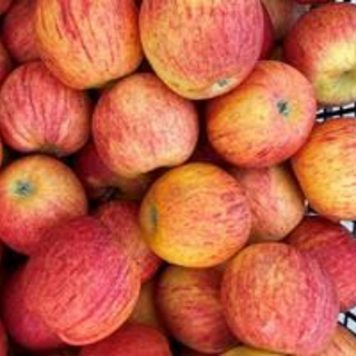 Maçã Fuji / apple