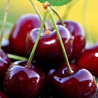 Cerejas / Cherries