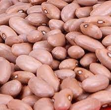 Feijão Manteiga / Beans