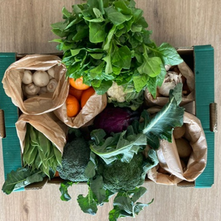 Misto Pequeno / Small Mixed