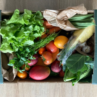 Misto Pequeno / Small Mixed