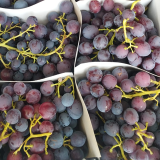 Uva Preta Com Grainha / Grape with seed 