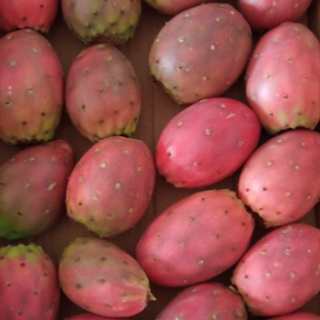 Figo da India / figs