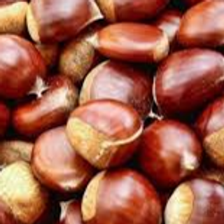 Castanhas / chestnuts