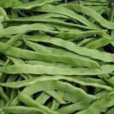 Feijão Verde / Green beans